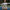 A pretty girl holding a Tropical Rainforest Patterns Pickleball Paddle for a photo at a Pickleball Paddle net